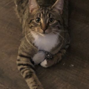 Meet your Posher, Jake